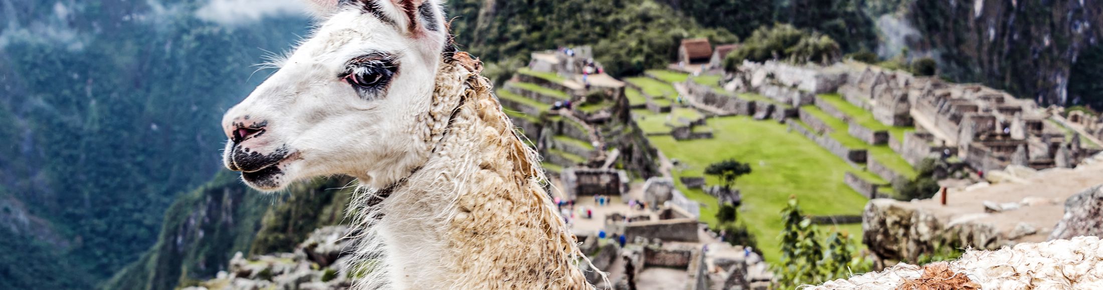 Machu Picchu 8D7N Viajero (Full Cultural) desde El Salvador